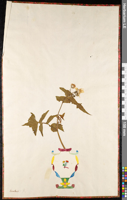 LE 01091978