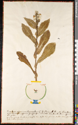 LE 01091979