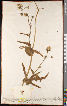 LE 01091980
