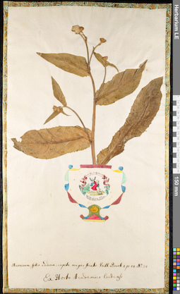 LE 01091989