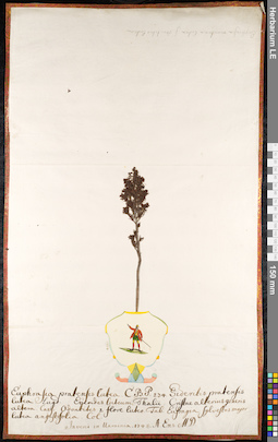 LE 01092005