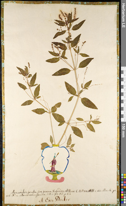 LE 01092007