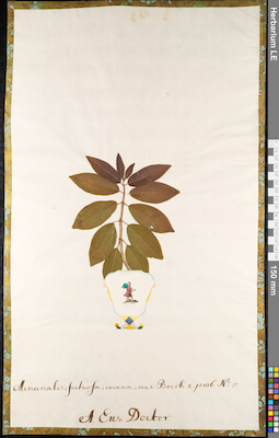 LE 01092010