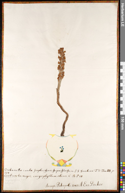 LE 01092014