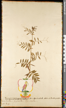 LE 01092019