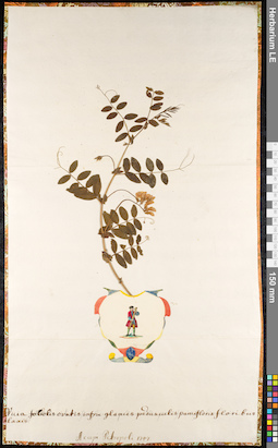 LE 01092020