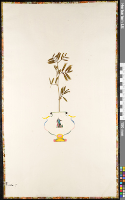LE 01092023
