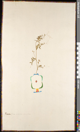 LE 01092024