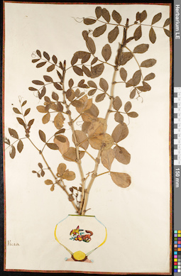 LE 01092026