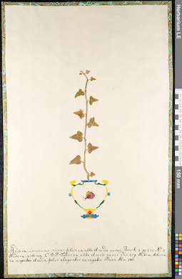 LE 01092027