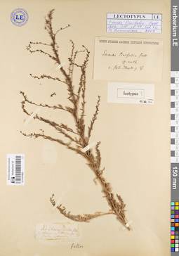 LE 01079805