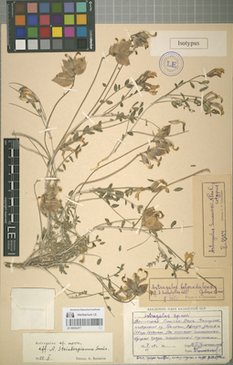 LE 00052477