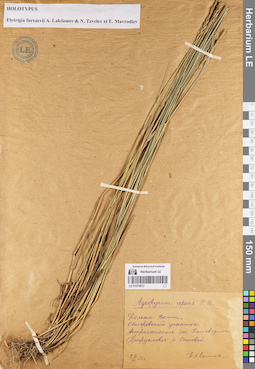 LE 01079813