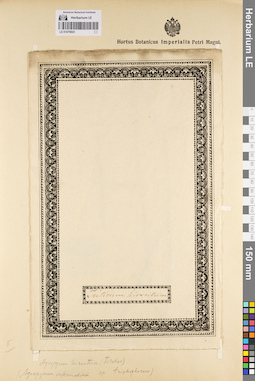 LE 01079825