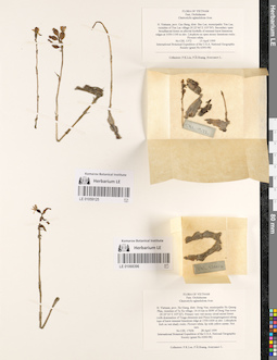 LE 01059125