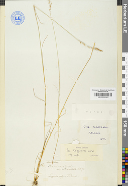 LE 01010263