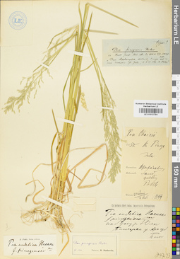 LE 01012734