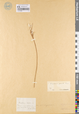 LE 01079869