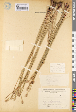LE 01079882