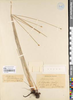 LE 01079894