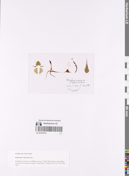 LE 01070101