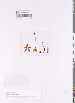 LE 01070114