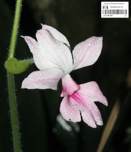 LE 01087588