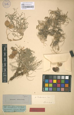 LE 01071931