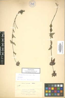 LE 01010108