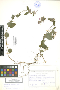 LE 01010109