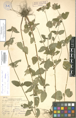 LE 01010110