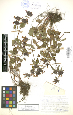 LE 01010113