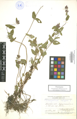 LE 01010114