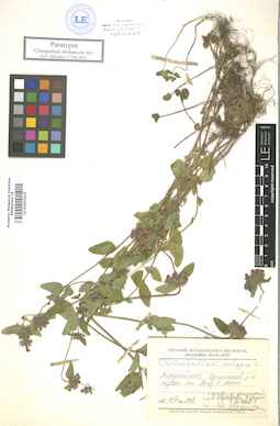 LE 01010115