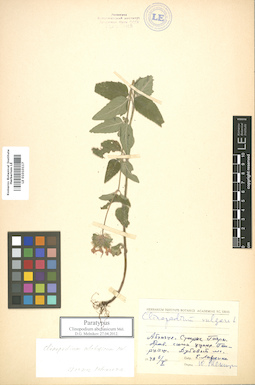 LE 01010117