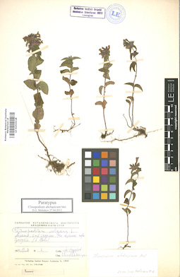 LE 01010118
