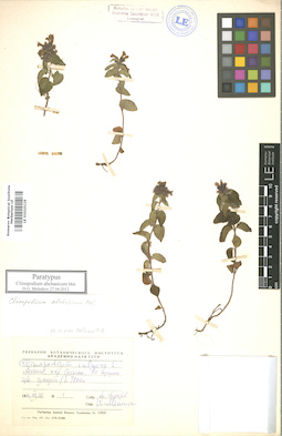 LE 01010119