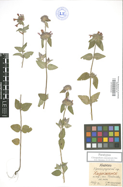 LE 01010122