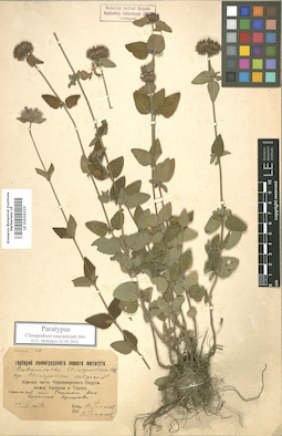 LE 01010123