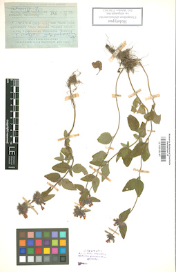 LE 01010147