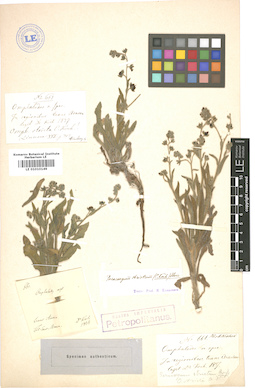 LE 01010149