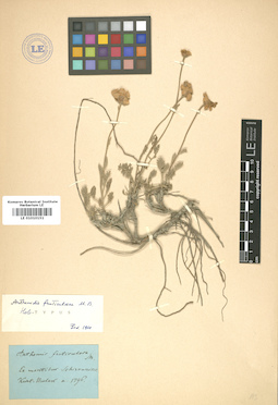 LE 01010151
