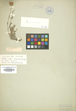 LE 01010152