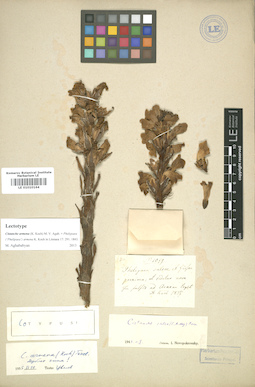 LE 01010164