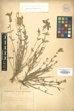 LE 01010186