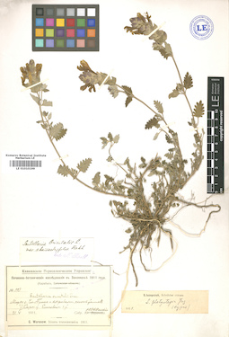 LE 01010199
