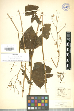 LE 01010202