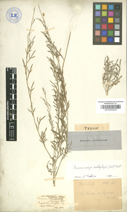 LE 01010243