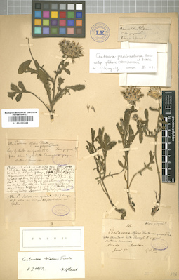 LE 01010248