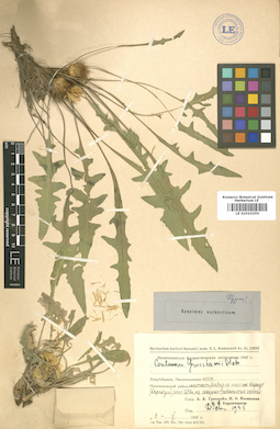 LE 01010250